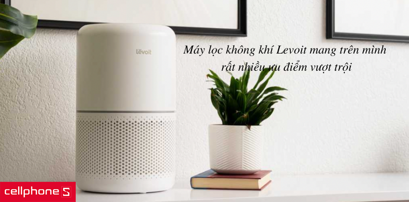 Ưu điểm vượt trội không thể bỏ qua của máy lọc không khí Levoit