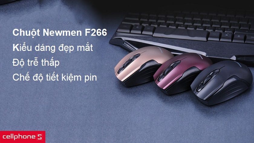 Chuột không dây Newmen F266