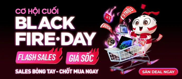 Black Friday 2024