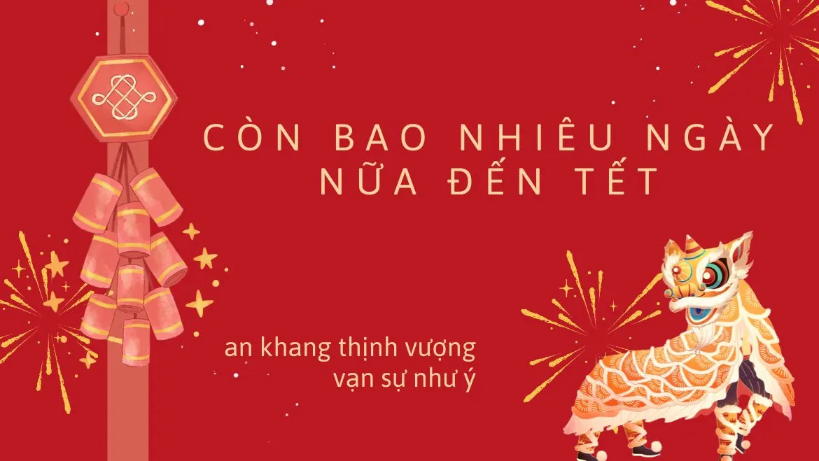 Còn bao nhiêu ngày nữa đến tết 2025 Còn bao nhiêu ngày nữa đến tết 2025